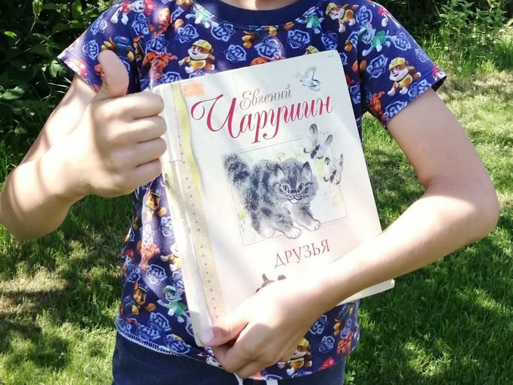 Изображение