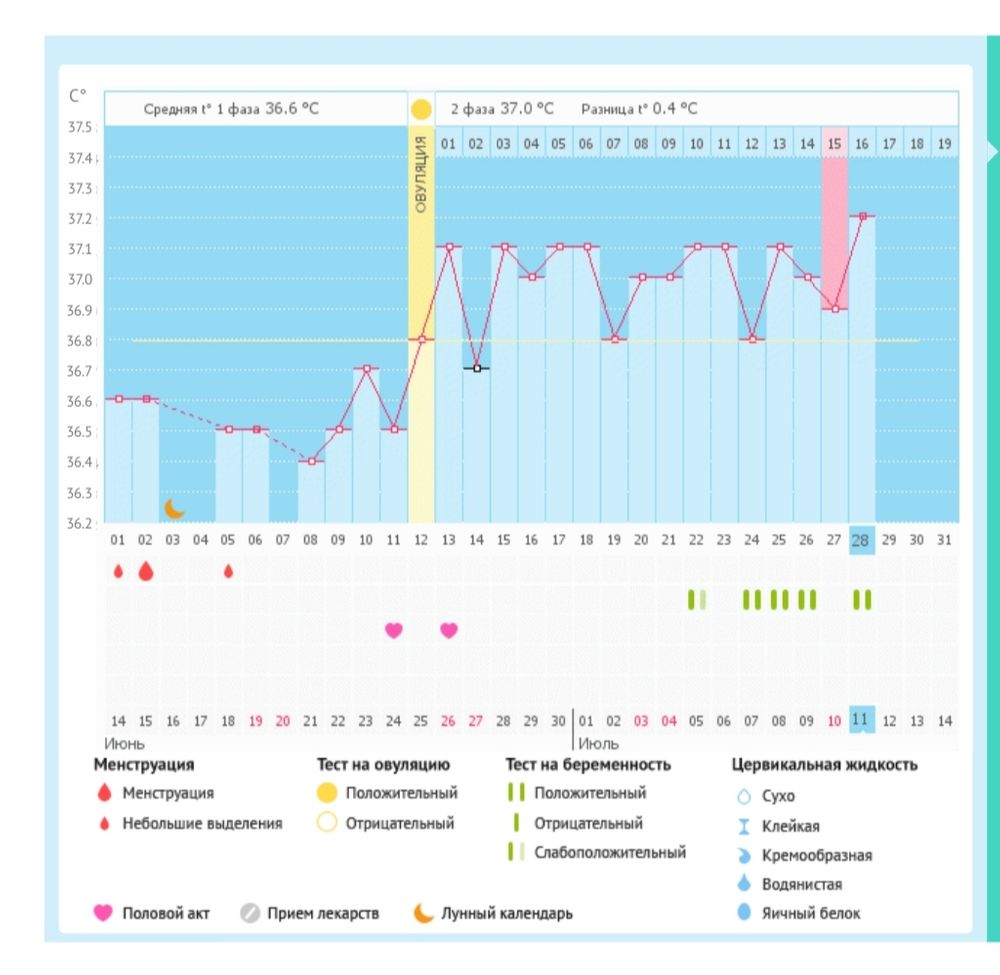 График беременности. Не беременный график базальной температуры. Беременный график базальной температуры фото.