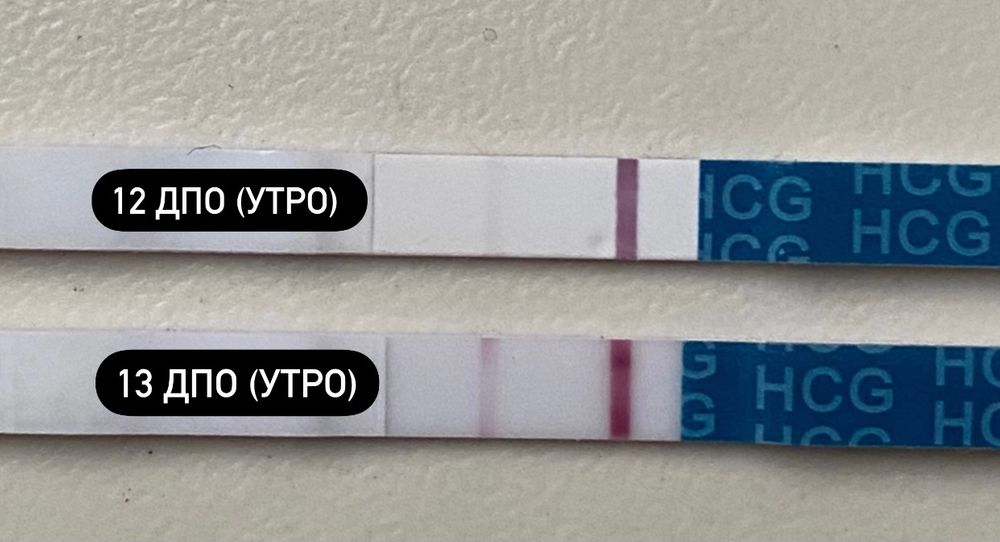 Dpo. На 13 ДПО упала БТ. На 11 ДПО упала БТ. 7 ДПО упала БТ. 6 ДПО БТ упала.