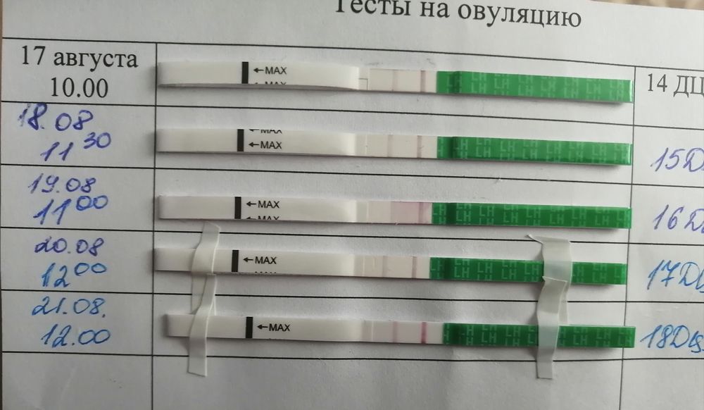 После овуляции на какой день делать тест. Тест на овуляцию как пользоваться. Тест на овуляцию название фирм. Тест на овуляцию Babyblog. Тесты на овуляцию как правильно оценить результат.