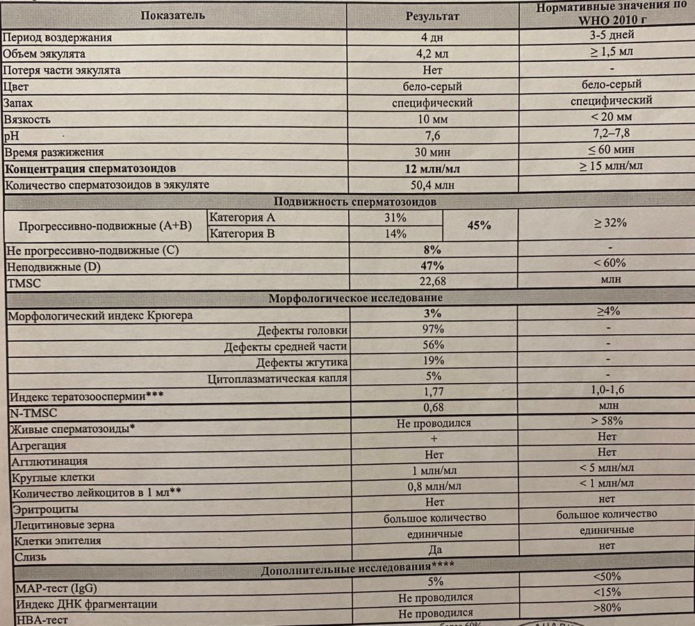 Спермограмма и эко — 43 ответов | форум Babyblog