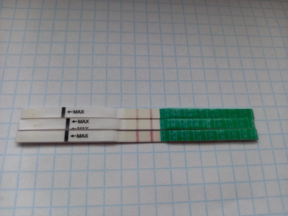 Может быть овуляция на 10 день цикла. Тест на овуляцию на 10 дц положительный. Овуляция 10. 8 дпо тест на овуляцию положительный. Тесты дни после овуляции.