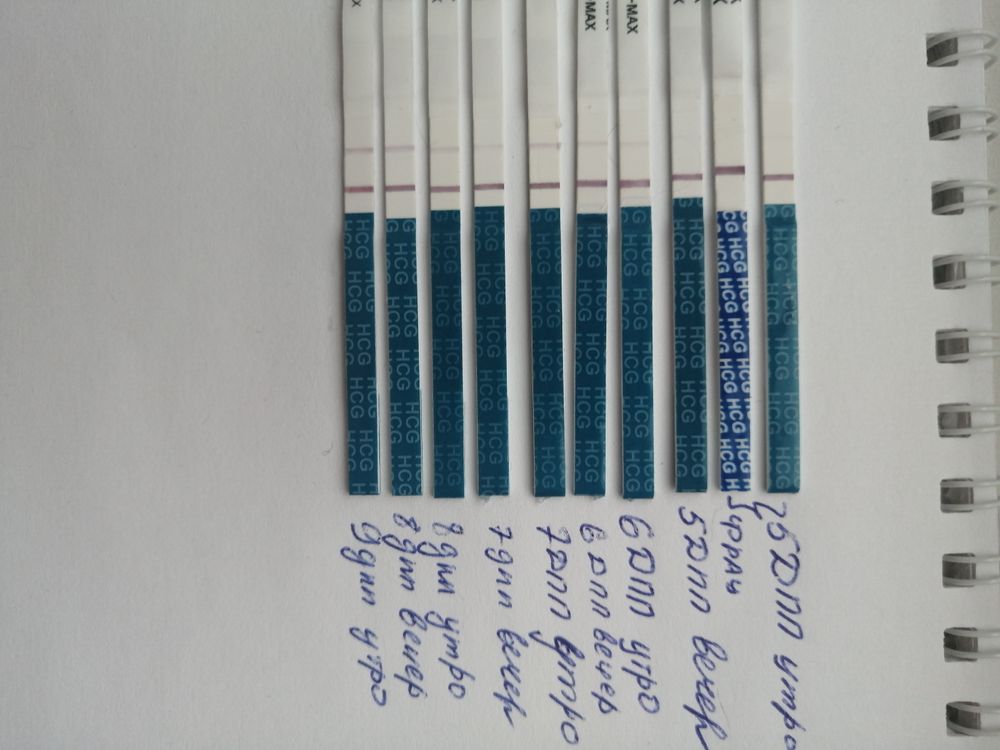 Какие были ощущения после переноса эмбрионов. Тест на беременность после подсадки эмбрионов. Тесты после подсадки эмбрионов. Тест по дням после переноса эмбрионов 5. Тесты после переноса эко.