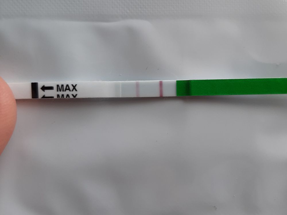 Полоски на овуляцию. 12 д ц. Тест на беременность 12 дпо эвитест. 12 д ц. Цены в дц.