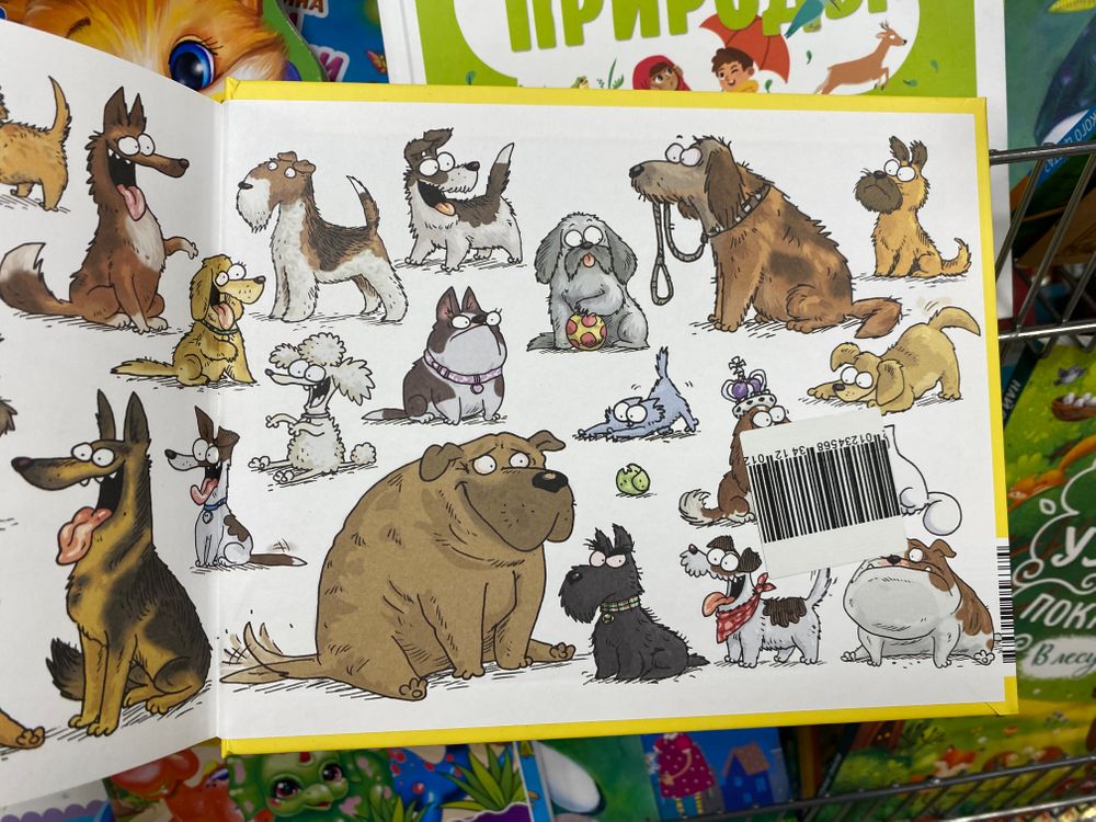 Изображение