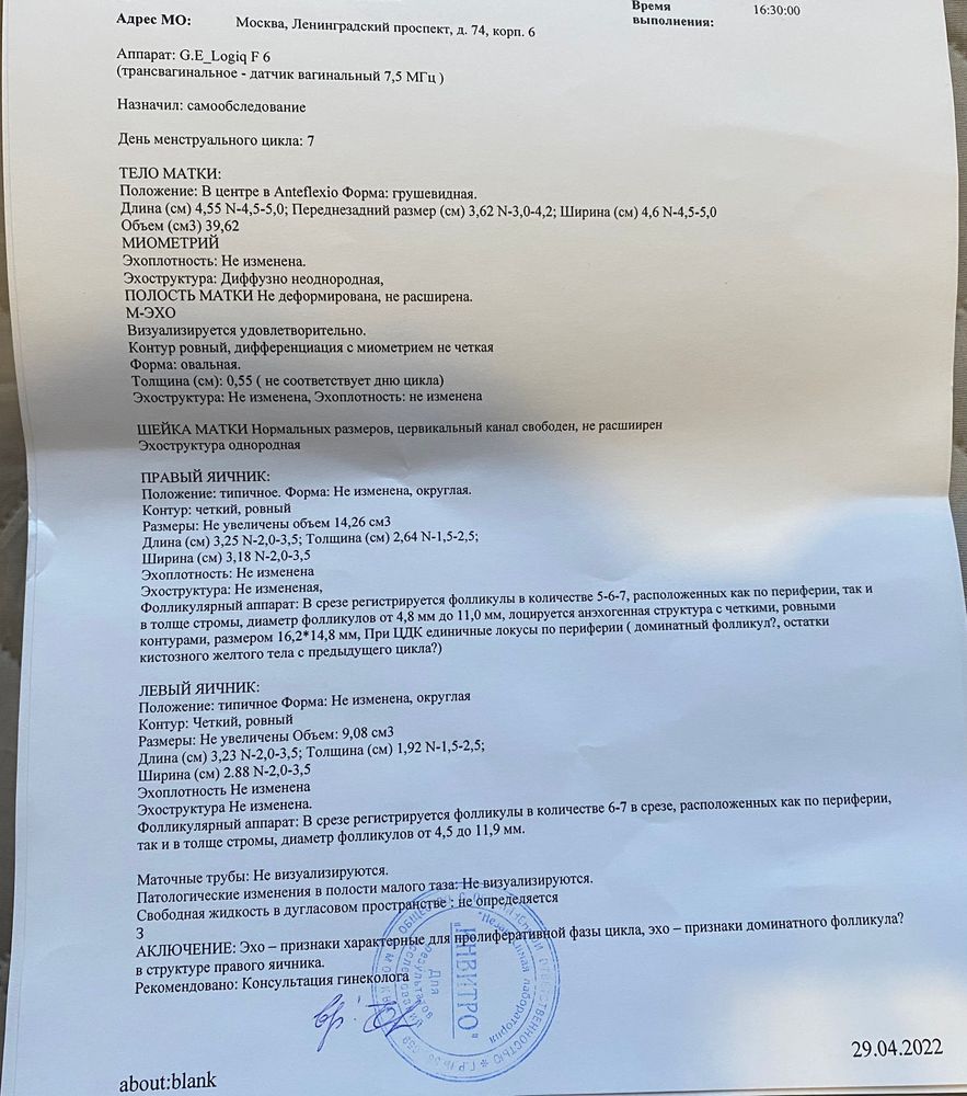 Толщина м эхо