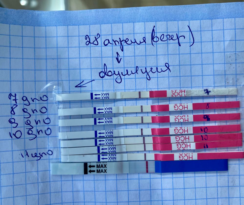 Признаки беременности тест с ответами