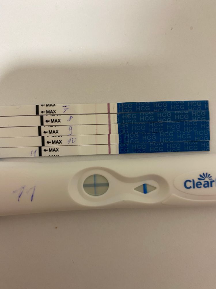 Тест на беременность с йодом и бумагой: как проводить, фото, отзывы.