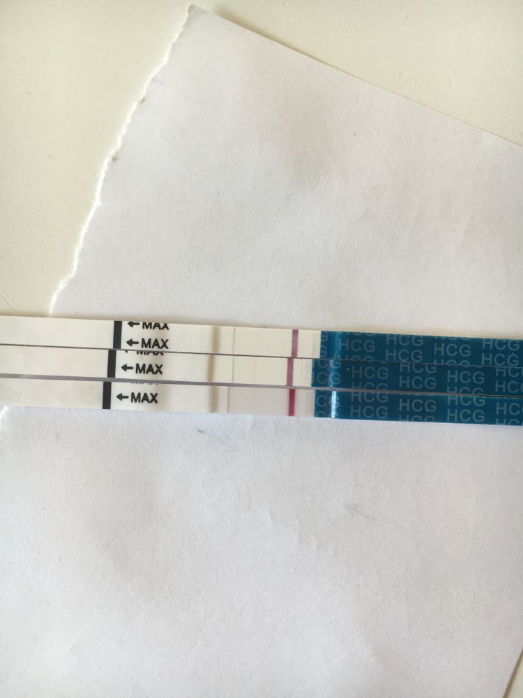 Овуляция после овитрель через сколько. Овуляция после овитрель через сколько. Выход овитреля 6500. Овитрель 5000. Хвост от овитреля через 9 дней.