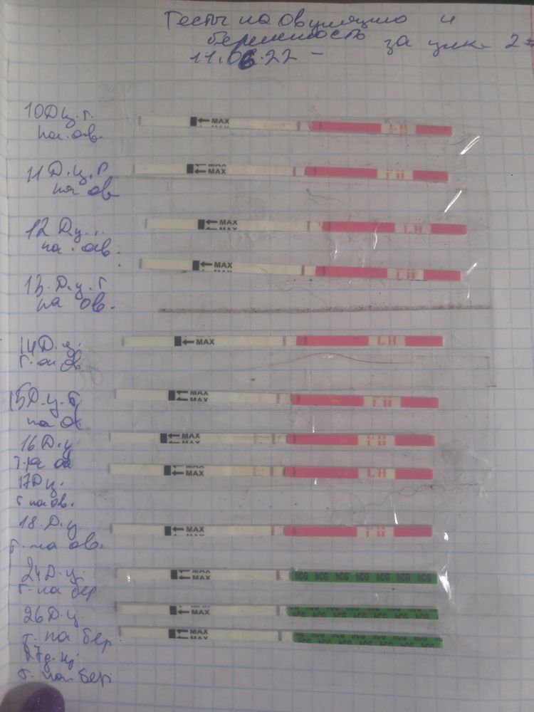 Овуляция при цикле 21. Овуляция при цикле 21. Как считать дни цикла месячных. Овуляция при цикле 21. Как высчитать длительность цикла месячных.