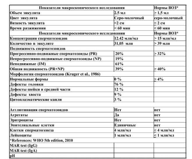 Морфология по крюгеру расшифровка