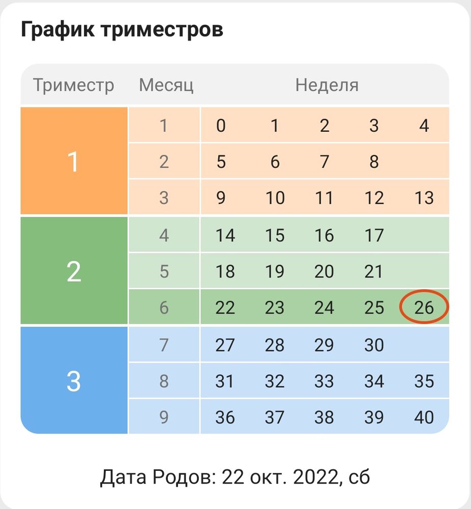 Недели и месяцы беременности таблица фото Страница 5 - Лёля Sevgilim - общайтесь на форуме BabyBlog