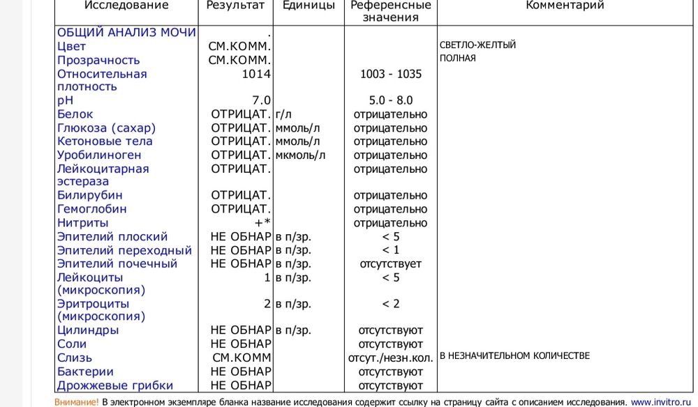 Анализ мочи при беременности