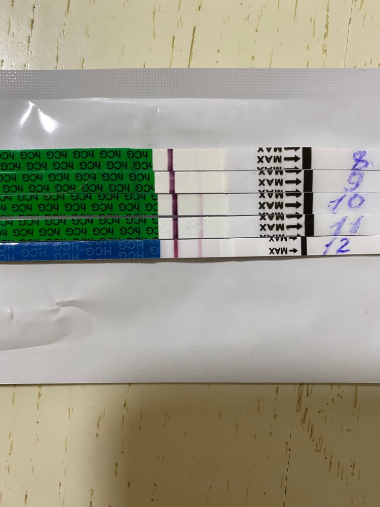 Полоска на тесте не ярчает. Тест на беременность в день х. Результаты теста. Тесты по дням. ХГЧ 5.