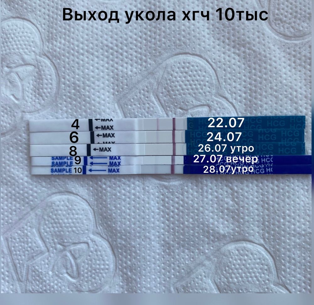 Тесты на беременность после уколов хгч. Выход укола ХГЧ. Тесты после укола ХГЧ. Таблица выхода укола ХГЧ. ХГЧ уколы.