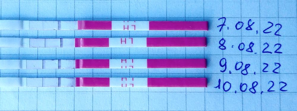 овуляция на 6. тест на овуляцию что такое дц. тест на овуляцию положительный. тест на овуляцию мама тест. овуляция на 6.