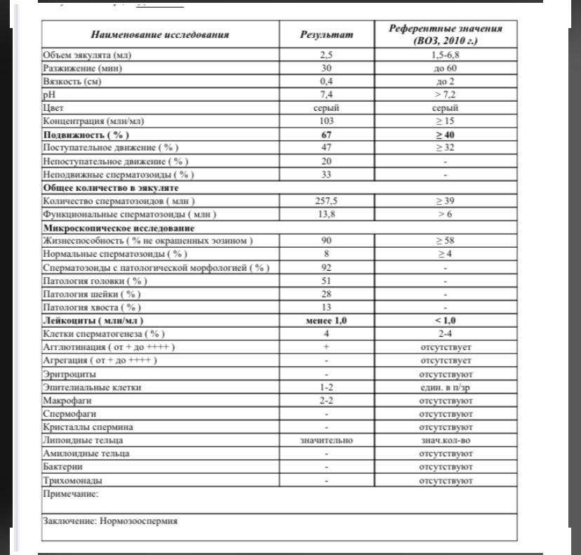 Хорошие результаты спермограммы образец