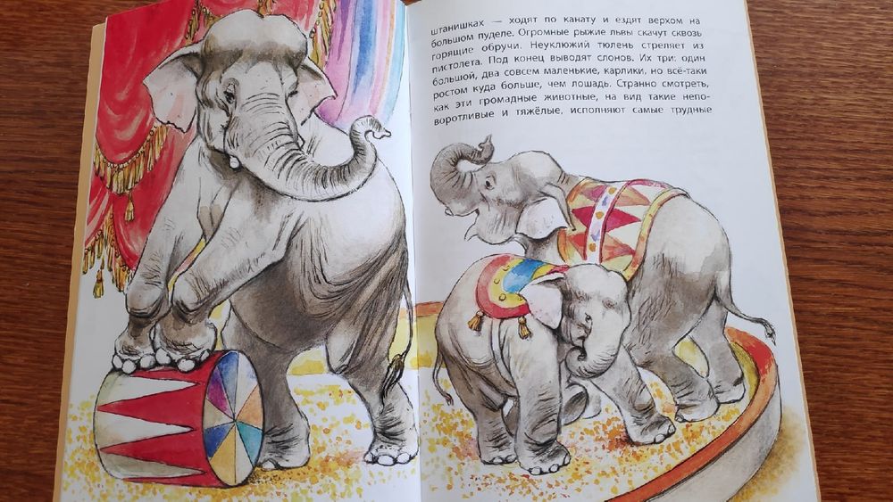 Бумажный слон читать рассказы. Куприн а. и. "слон". Иллюстрация к произведению Куприна слон.