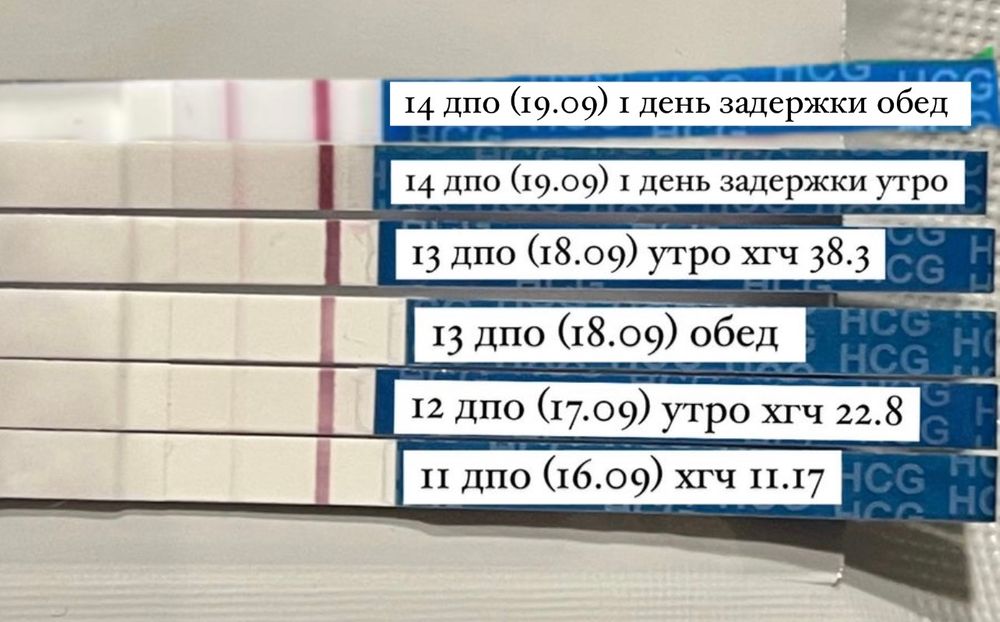 Тест на беременность на 9 день после зачатия