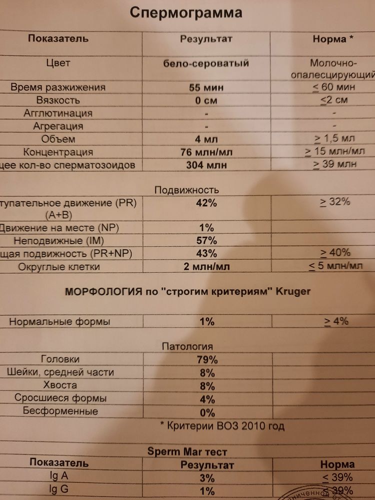 Нарушения сперматогенеза у мужчин - диагностика и лечение