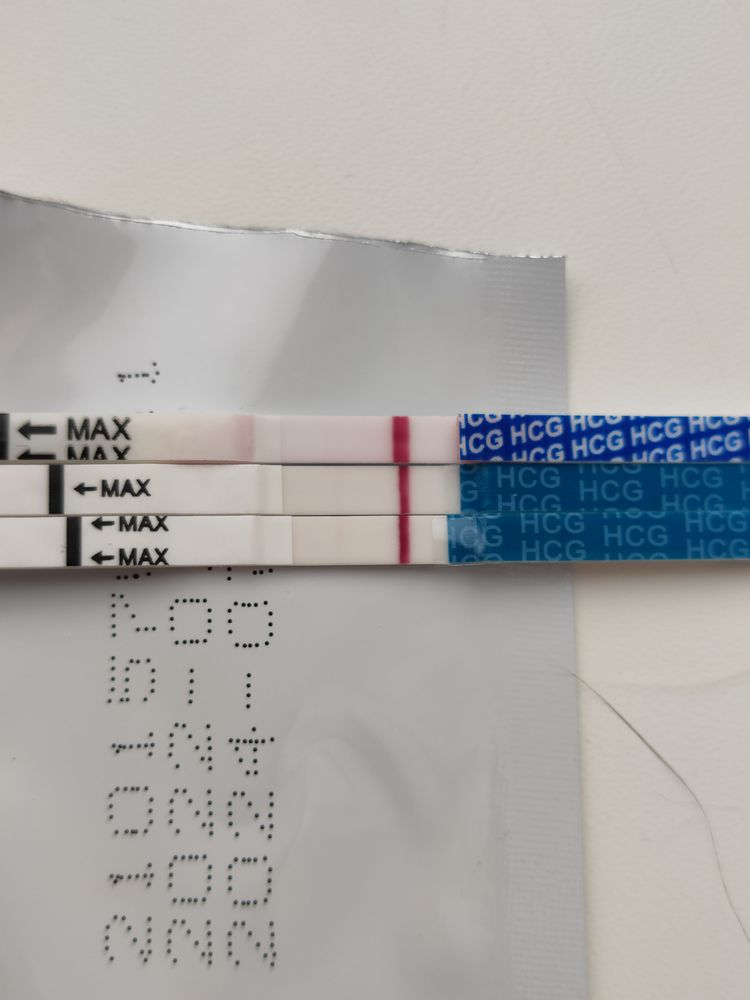 фрау тест и эви тест. сравнение эвитеста и фрауиеста. фраутест 15 мме до задержки. фрау слабый призрак на тесте. фраутест полоски.