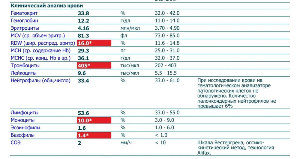 Анализ wbc норма у мужчин