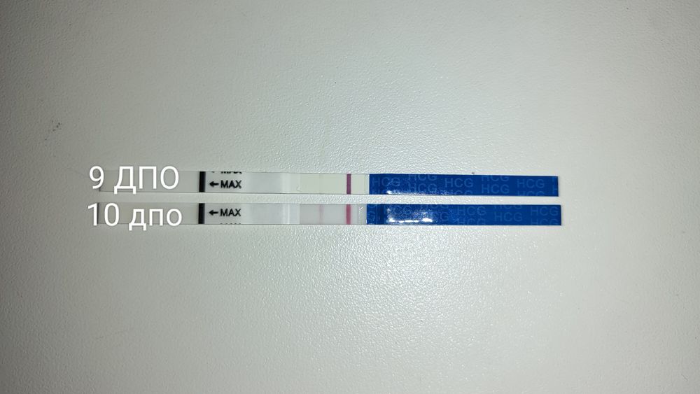 Dpo