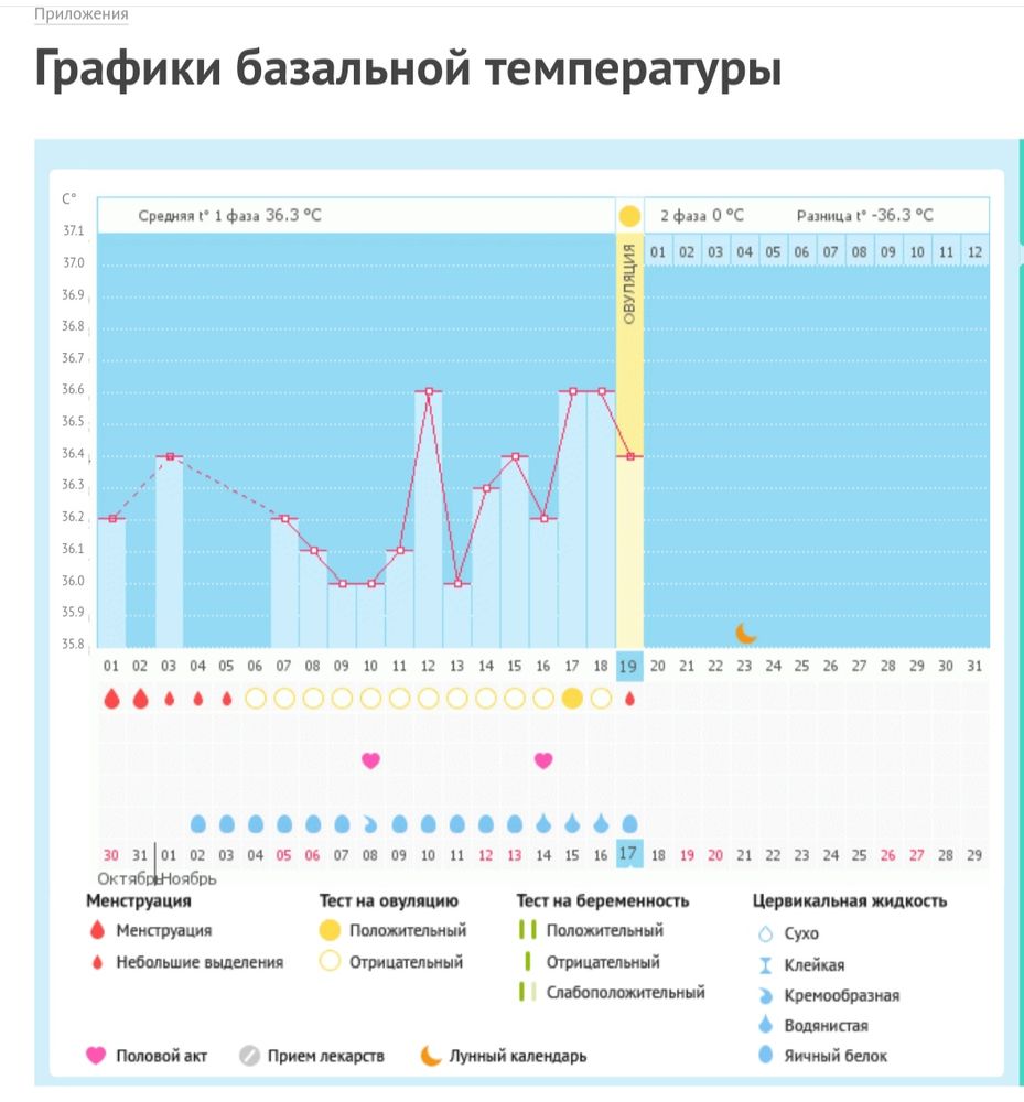 УЗИ 19 ДЦ Овуляция💥 — 14 ответов | форум Babyblog