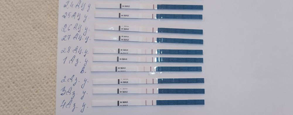Эви тесты на беременность фото: 🔍 популярные вопросы про беременность и ответы на них