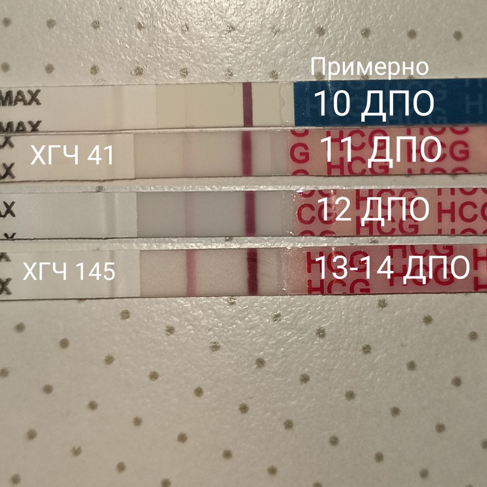 13-14 ДПО, прогестерон и сильный рост ХГЧ — 26 ответов | форум Babyblog