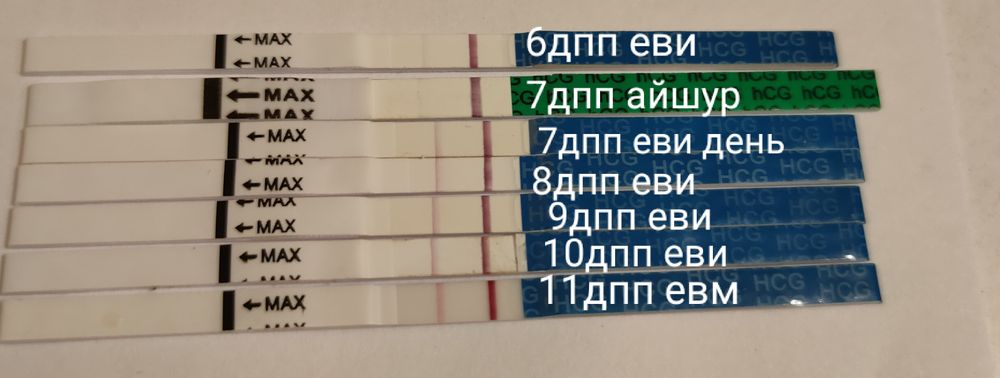 4 дпп пятидневок ощущения в удачном протоколе