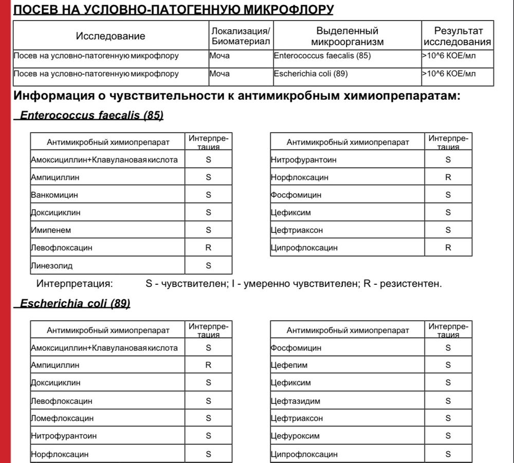 enterococcus faecalis во влагалище — 73 ответов | форум Babyblog