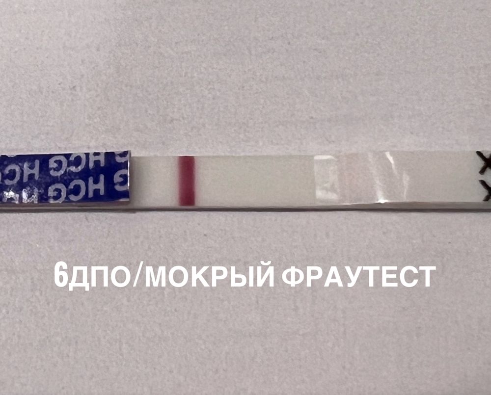 Когда наступает беременность: сколько времени должно пройти после полового акта?