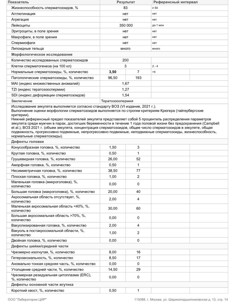 Тератозооспермия под микроскопом. Спермограмма патология. Спермограмма нормозооспермия. Спермограмма микроскопия. Тератозооспермия что это такое у мужчин причины.
