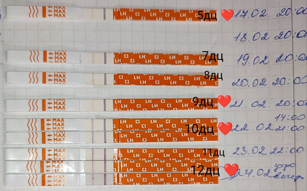 Тест на овуляцию на девочку. Тест на овуляцию на девочку. Как понять что тест на овуляцию положительный. Тест на овуляцию положительный. Тест на овуляцию на девочку.