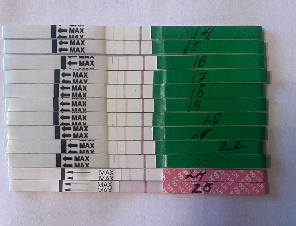 Овуляция на 7. Тест на овуляцию по дням цикла. Тест на овуляцию цикл 31 день. Овуляция на 7. Тесты на овуляцию фото.