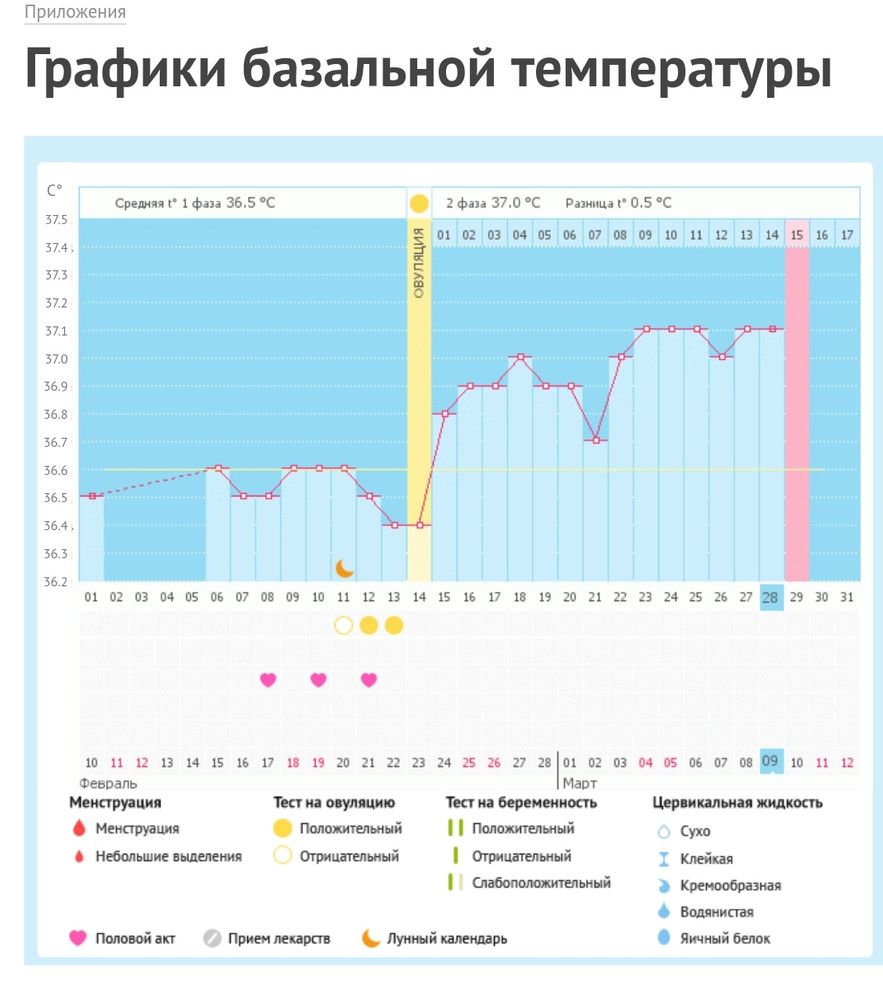 Ура! Мой график беременный! — в сообществе Графики базальной температуры —  на Babyblog.ru