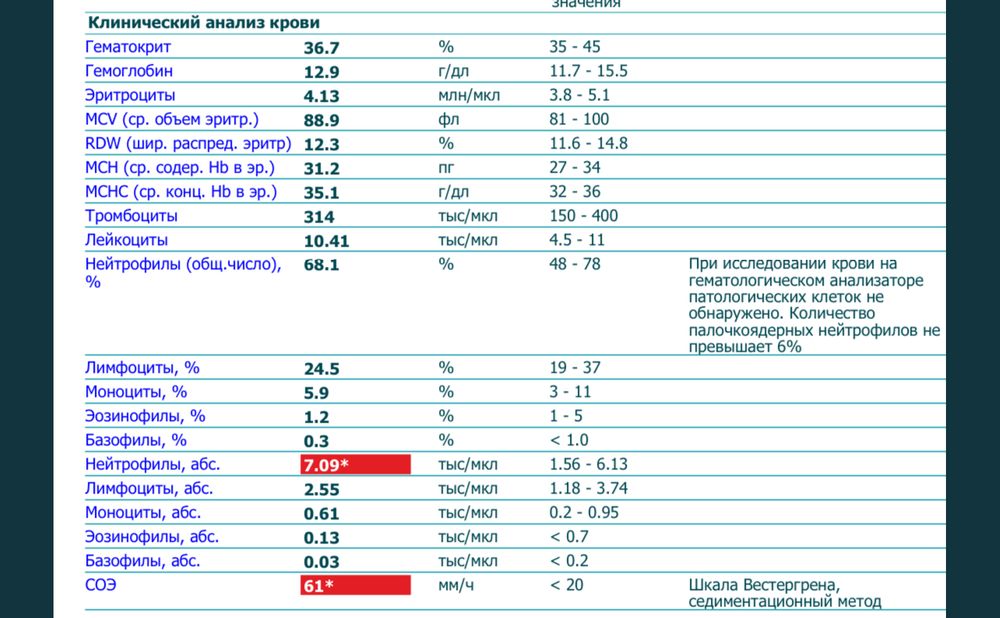 Нейтрофилы повышены у взрослого