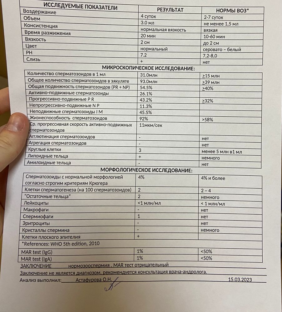 Спермограмма результаты расшифровка