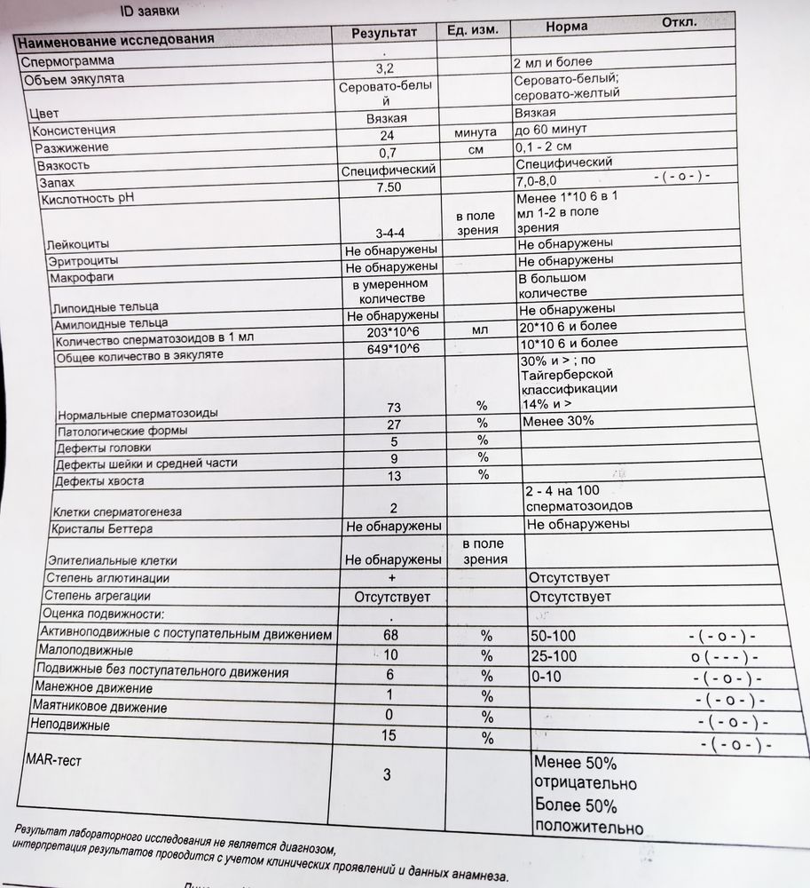 Спермограмма результаты расшифровка