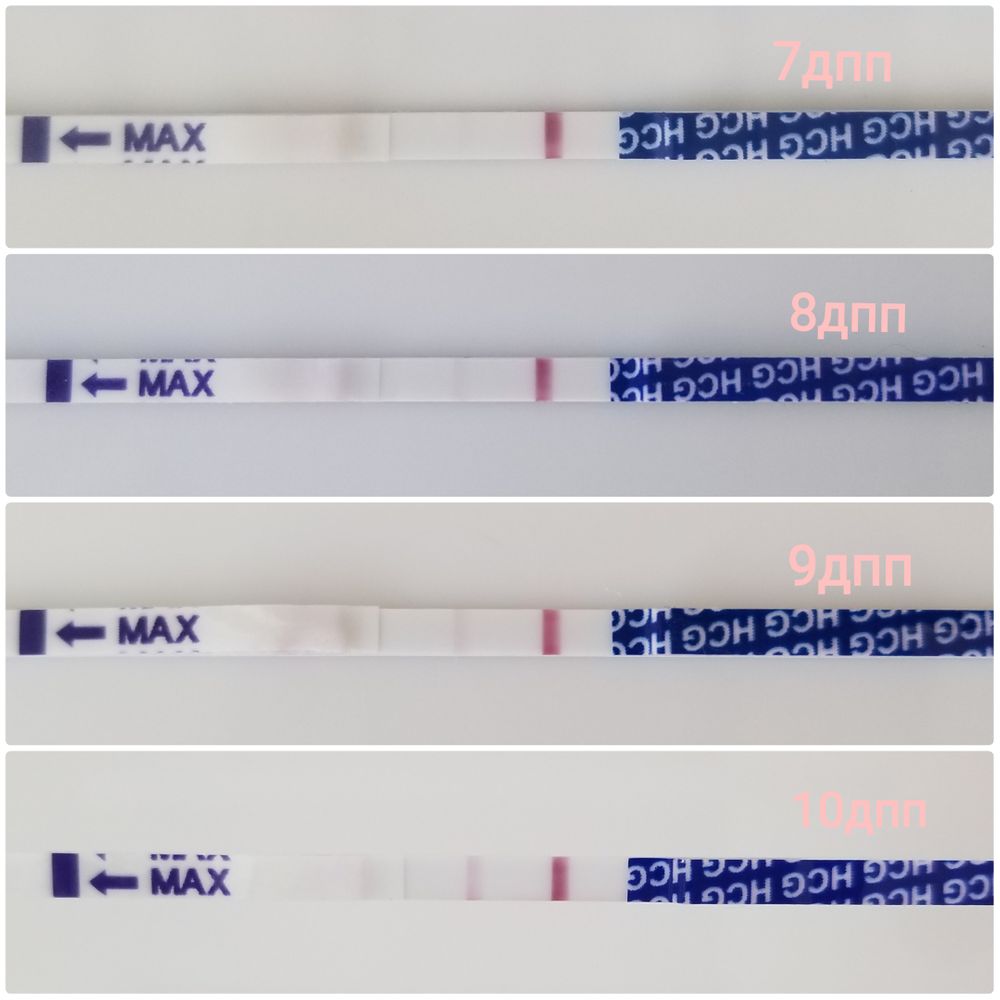 Уровень хгч по тесту на беременность. Тесты на хгч в аптеке. Эко тесты отрицательные а хгч растет форум. Тест на хгч. Уровень хгч за 2 дня до задержки месячных.
