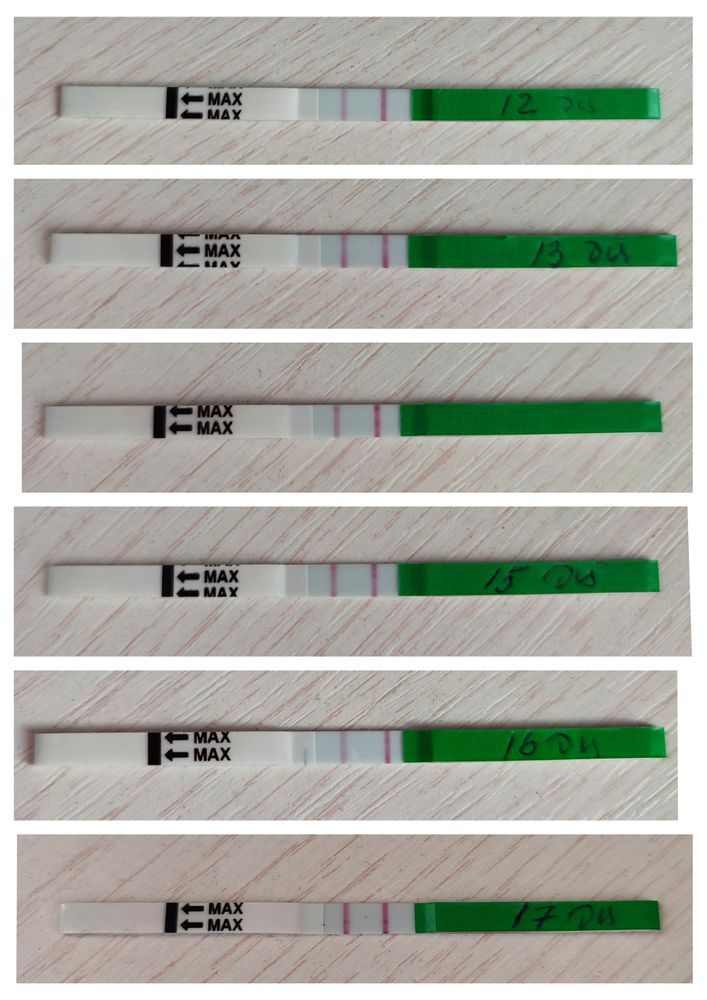 27 день цикла тест. Тест на 27 день цикла. Тест на 32 день цикла. Тест на 29 день цикла. Тест на беременность на 28 день цикла.