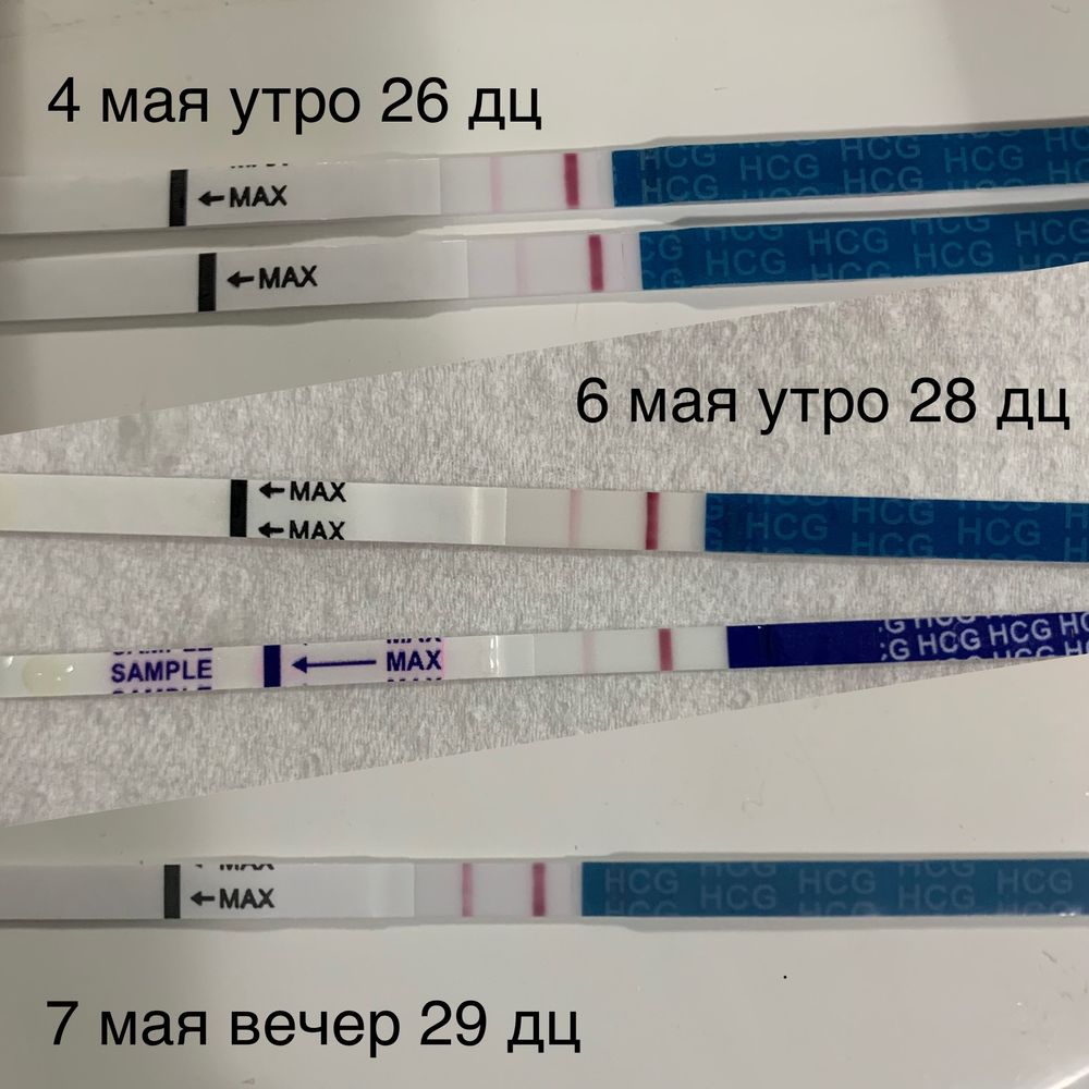 Ну люблю я тесты) — 7 ответов | форум Babyblog