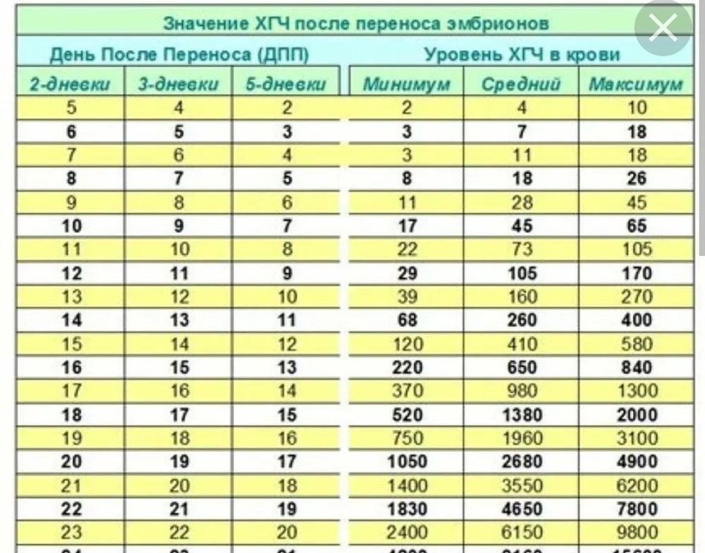 После переноса 5 дневок