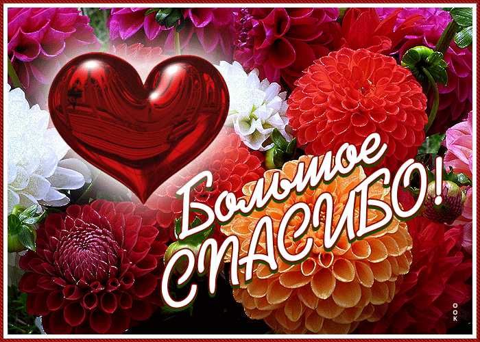 Picture background