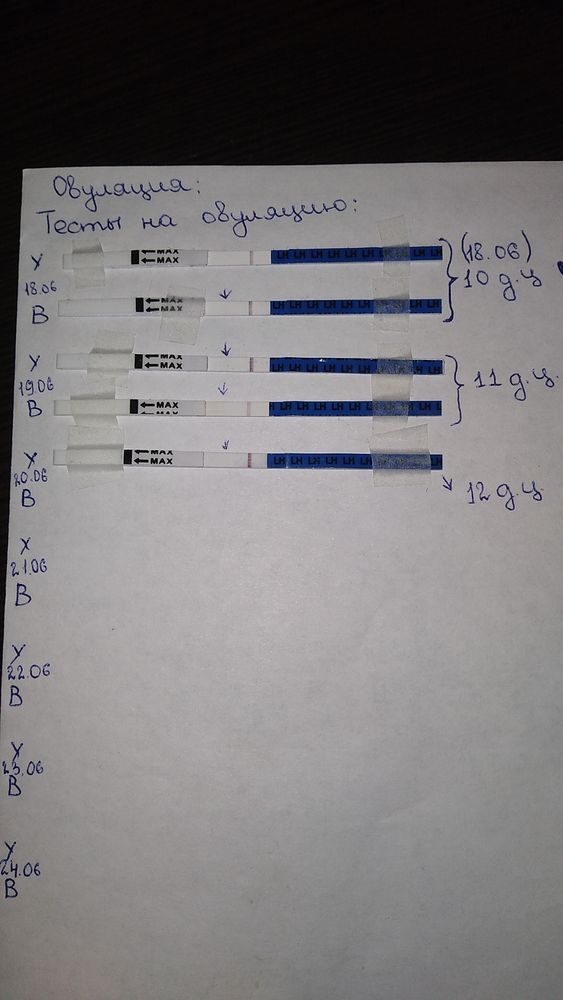 Bht6ad95r054 тест план