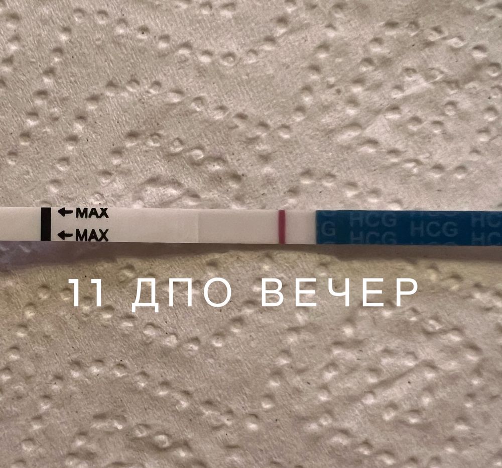 8/месяц Июнь/идем дальше — 3 ответов | форум Babyblog