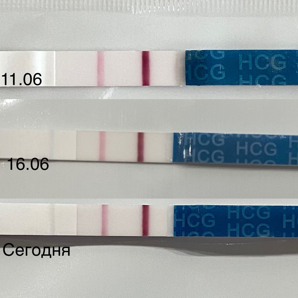 Тест не бледнеет, после месячных тест показывает// — 42 ответов | форум  Babyblog