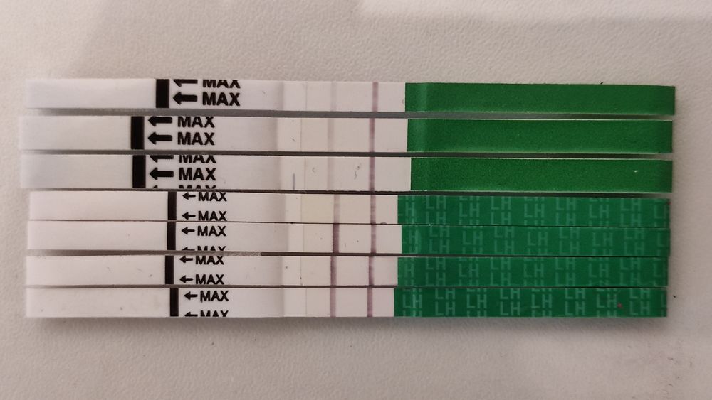 Динамика тестов на овуляцию я родился. Тест на овуляцию 15дц. 16 дпо тест отрицательный месячных нет. 16 д ц. Тест на овуляцию положительный фото на салфетке.