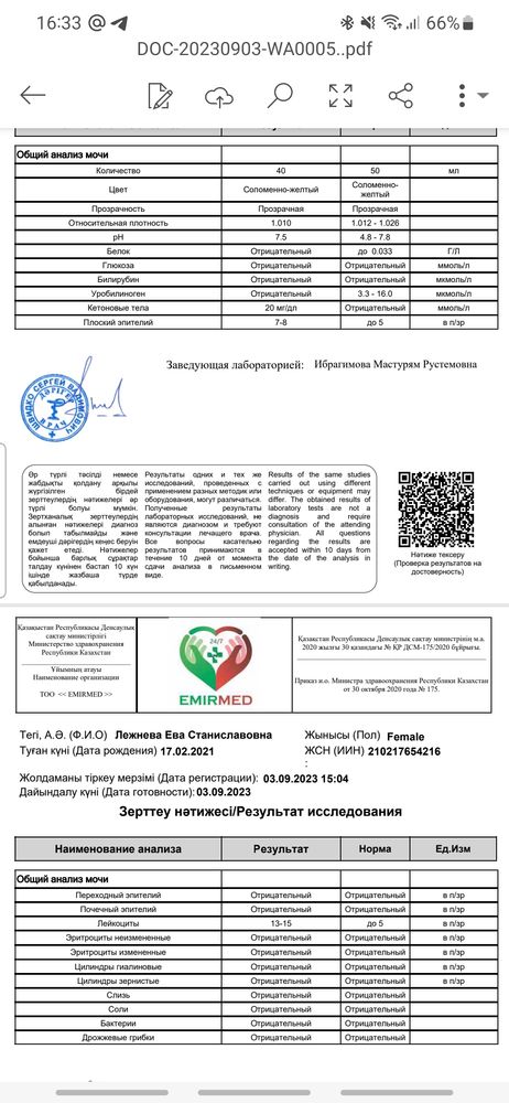 Лейкоцитоз у взрослых: симптомы, причины, лечение